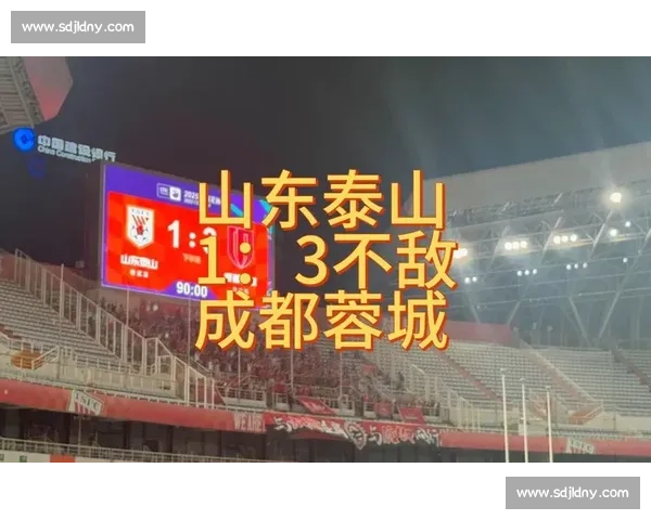 七年磨一剑：成都蓉城从三级跳迈向亚冠正赛