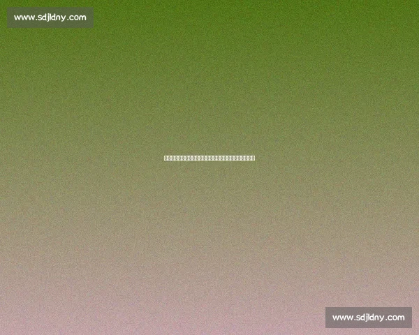 四川男篮新秀首训别开生面:笔墨启新章,书写篮球新未来 四川男篮新秀首训别开生面:笔墨启新章,书写篮球新未来