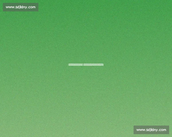 西内尔官宣执教布鲁日 拒绝多国邀约开启比利时新挑战