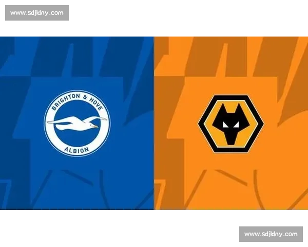 布赖顿主场迎战狼队英超关键对决走势前瞻解析赛前战术与胜负悬念