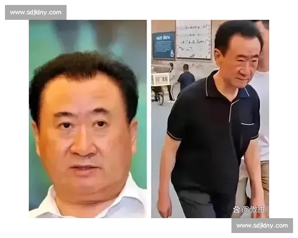 许家印对决王健林地产大佬命运分岔与时代沉浮录中国商业风云观察